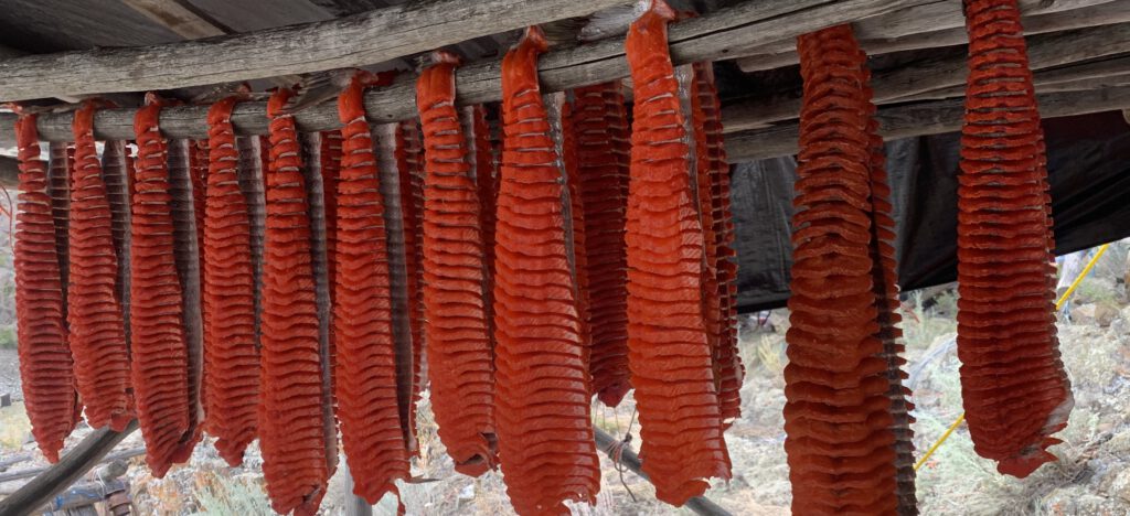 Picture of salmon that was cut into strips and hung on a dry rack to cure for up to ten days.